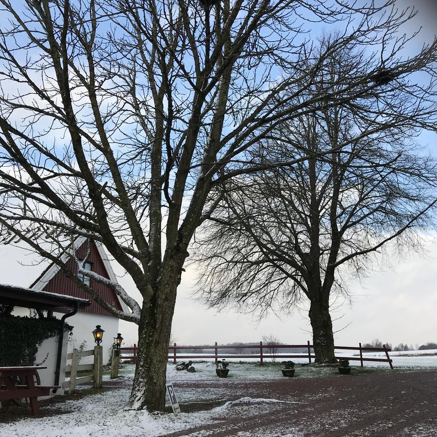 Husargårdens Bed&Breakfast Sjöbo Eksteriør bilde
